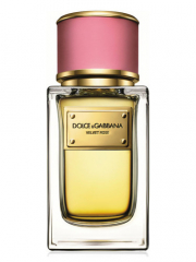 Dolce & Gabbana Velvet Rose